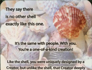 shell